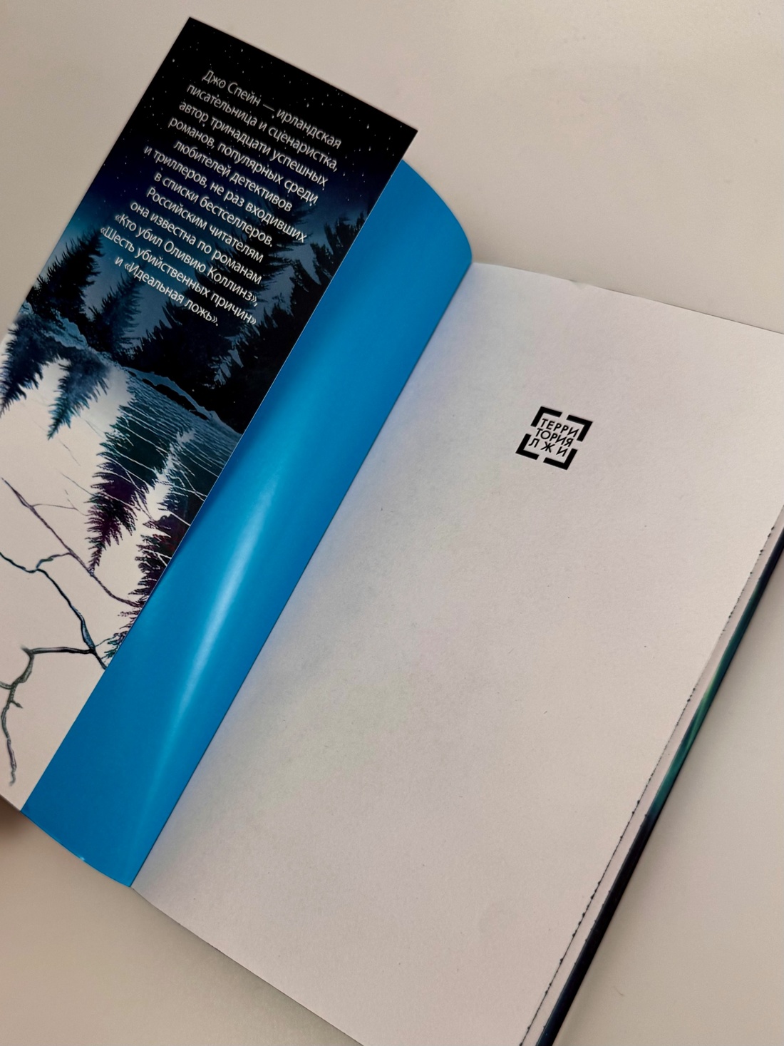 Промо материал к книге "Она исчезла последней" №6