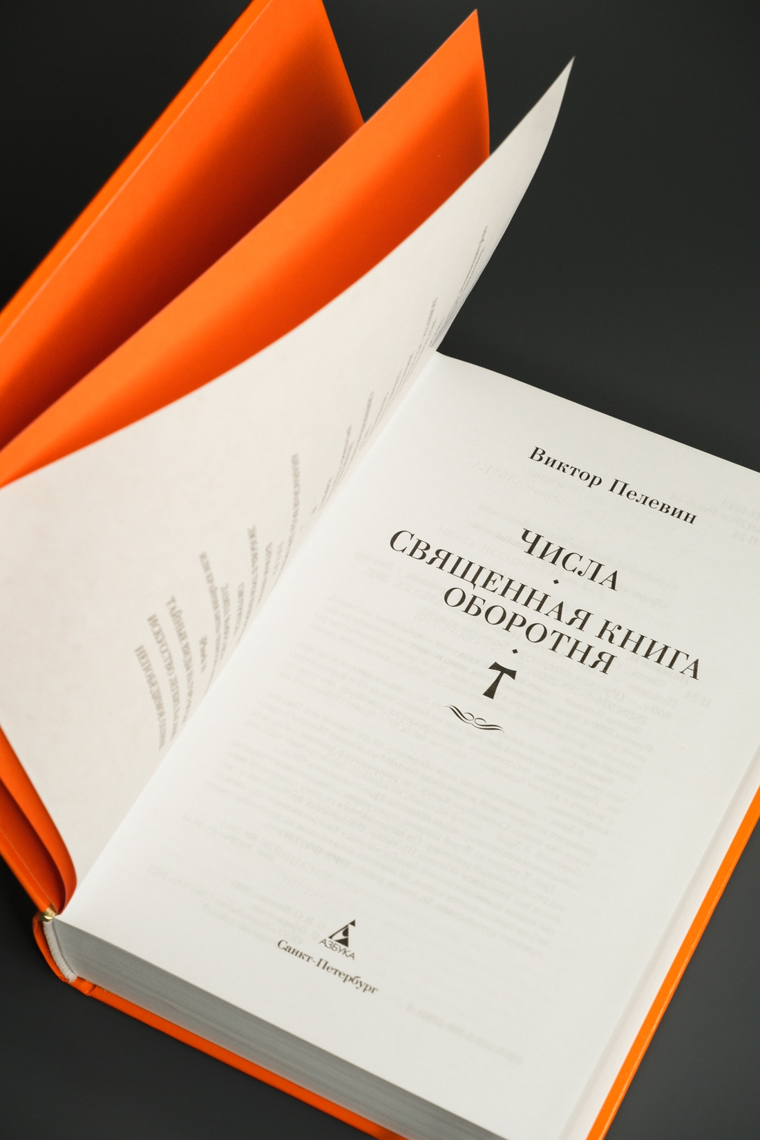 Промо материал к книге "Числа. Священная книга оборотня. T" №6