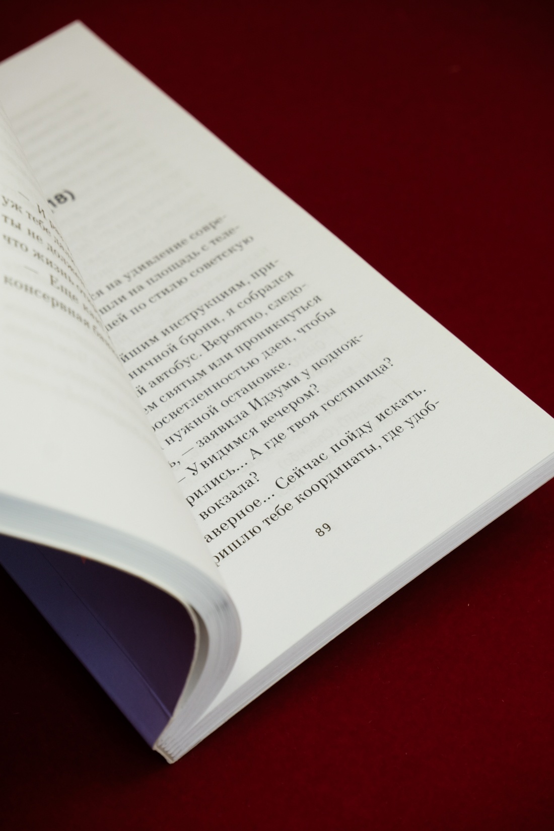 Промо материал к книге "Сакура любви. Мой японский квест" №9
