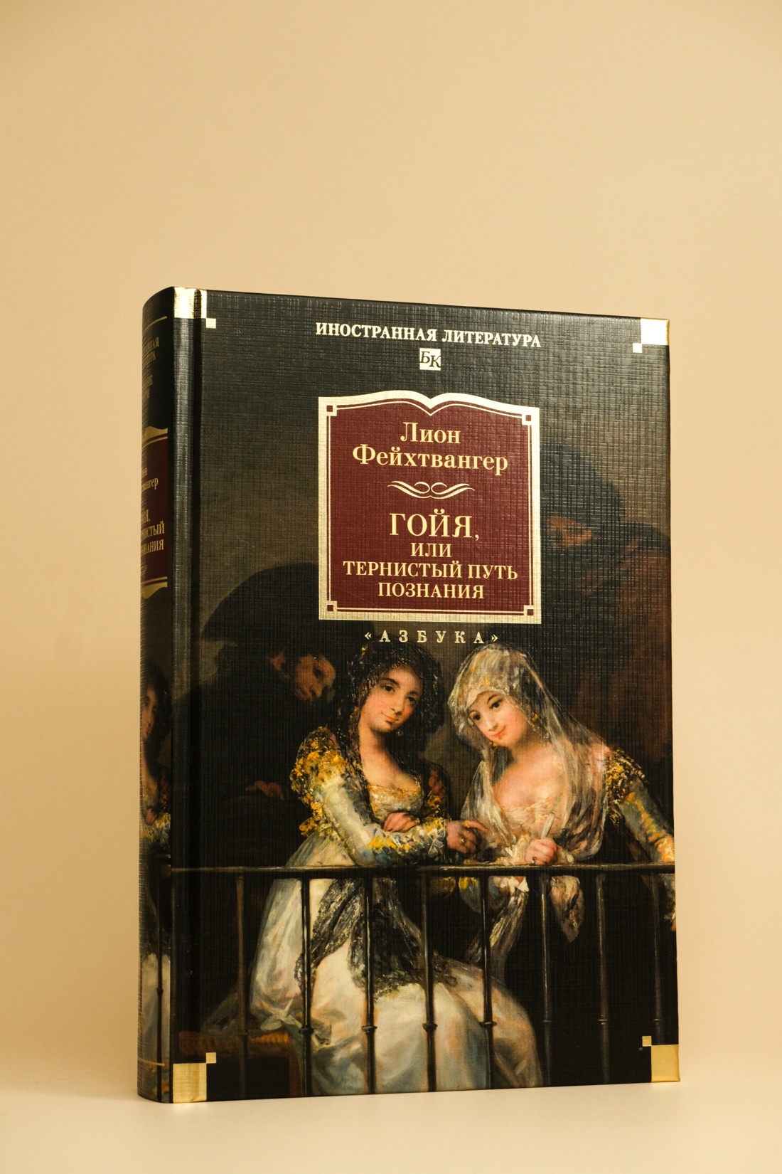 Промо материал к книге "Гойя, или Тернистый путь познания" №3