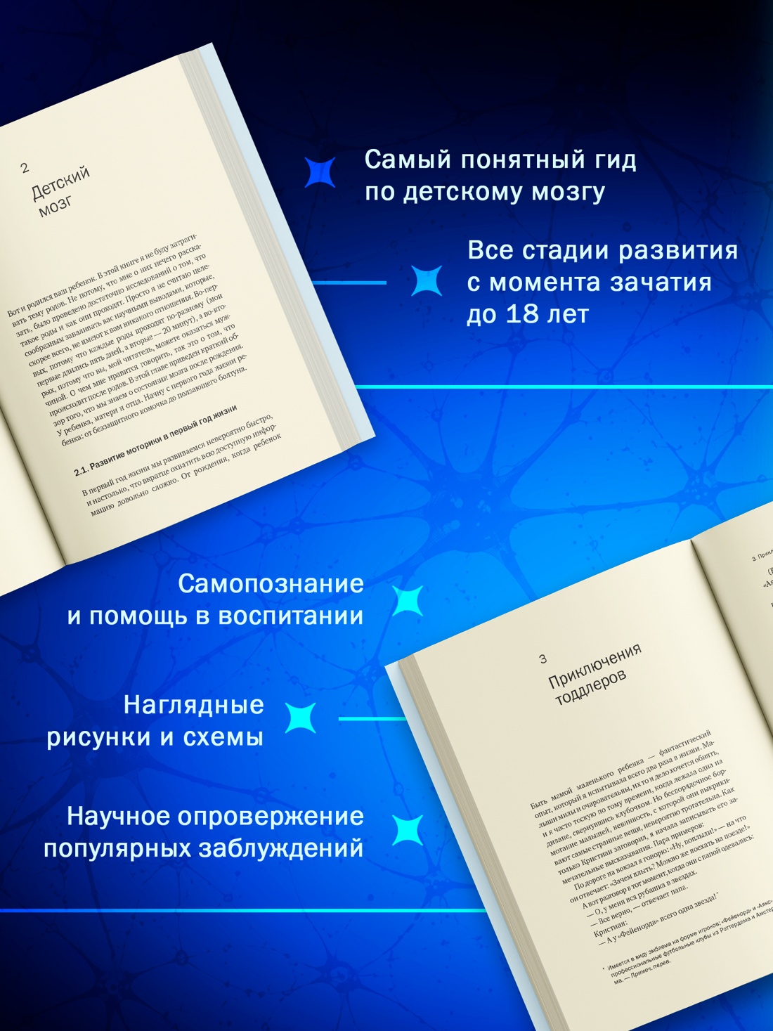 Промо материал к книге "Мозг в стадии разработки. Загадки нейробиологии: все, что мы знаем и не знаем о развитии мозга" №1