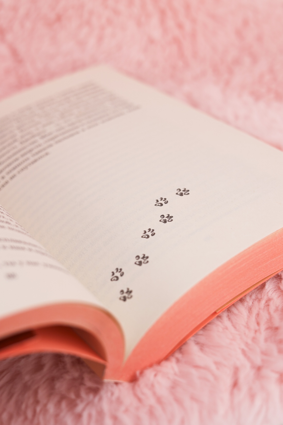 Промо материал к книге "Кошки не ходят на работу" №10