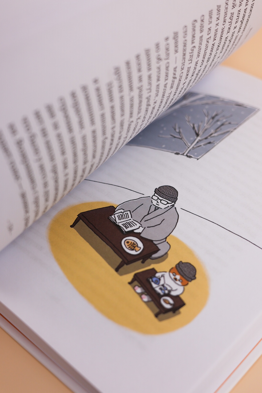 Промо материал к книге "Однажды ко мне пришел кот" №12