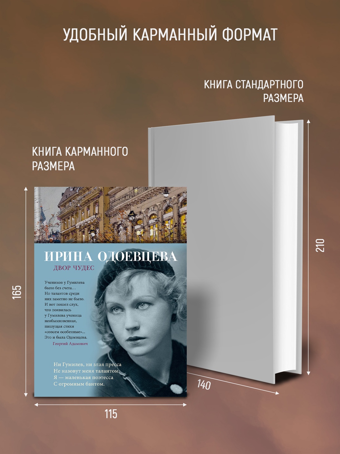 Промо материал к книге "Двор чудес" №2