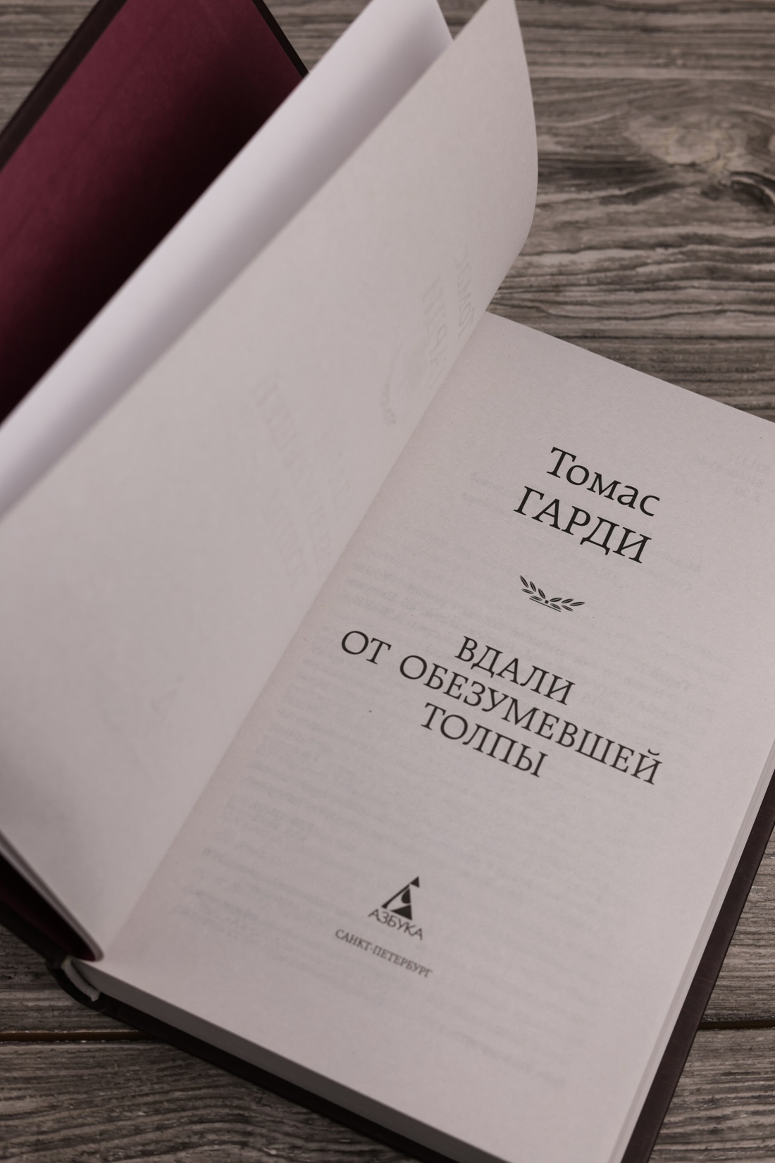 Промо материал к книге "Вдали от обезумевшей толпы (твердый)" №5