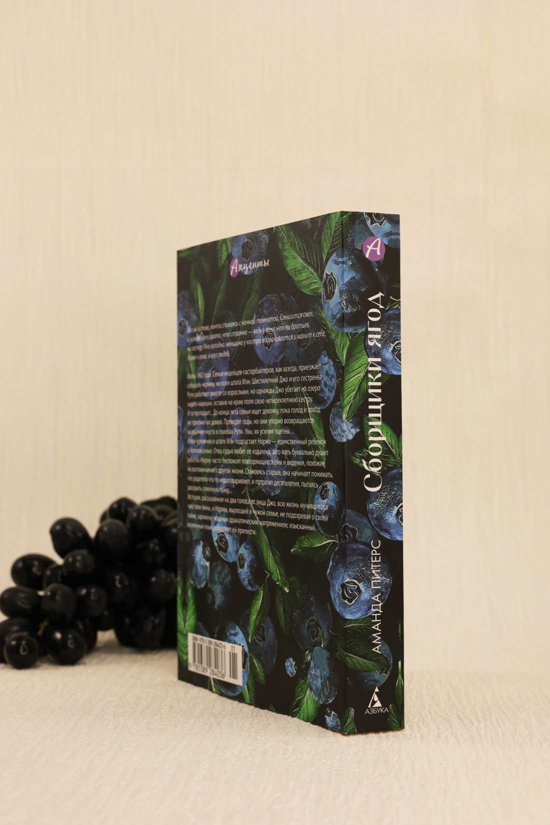 Промо материал к книге "Сборщики ягод" №7