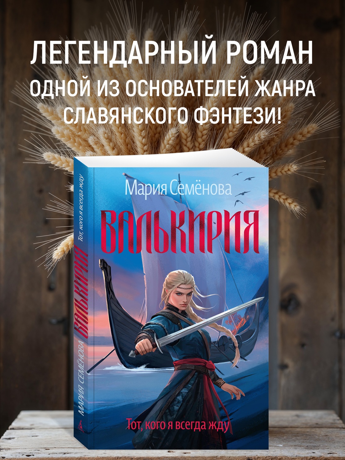 Промо материал к книге "Валькирия. Тот, кого я всегда жду" №0