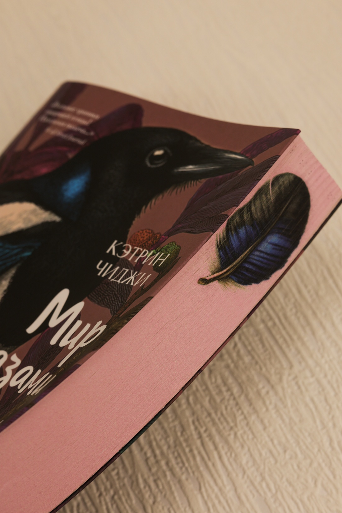 Промо материал к книге "Мир глазами Тамы" №12