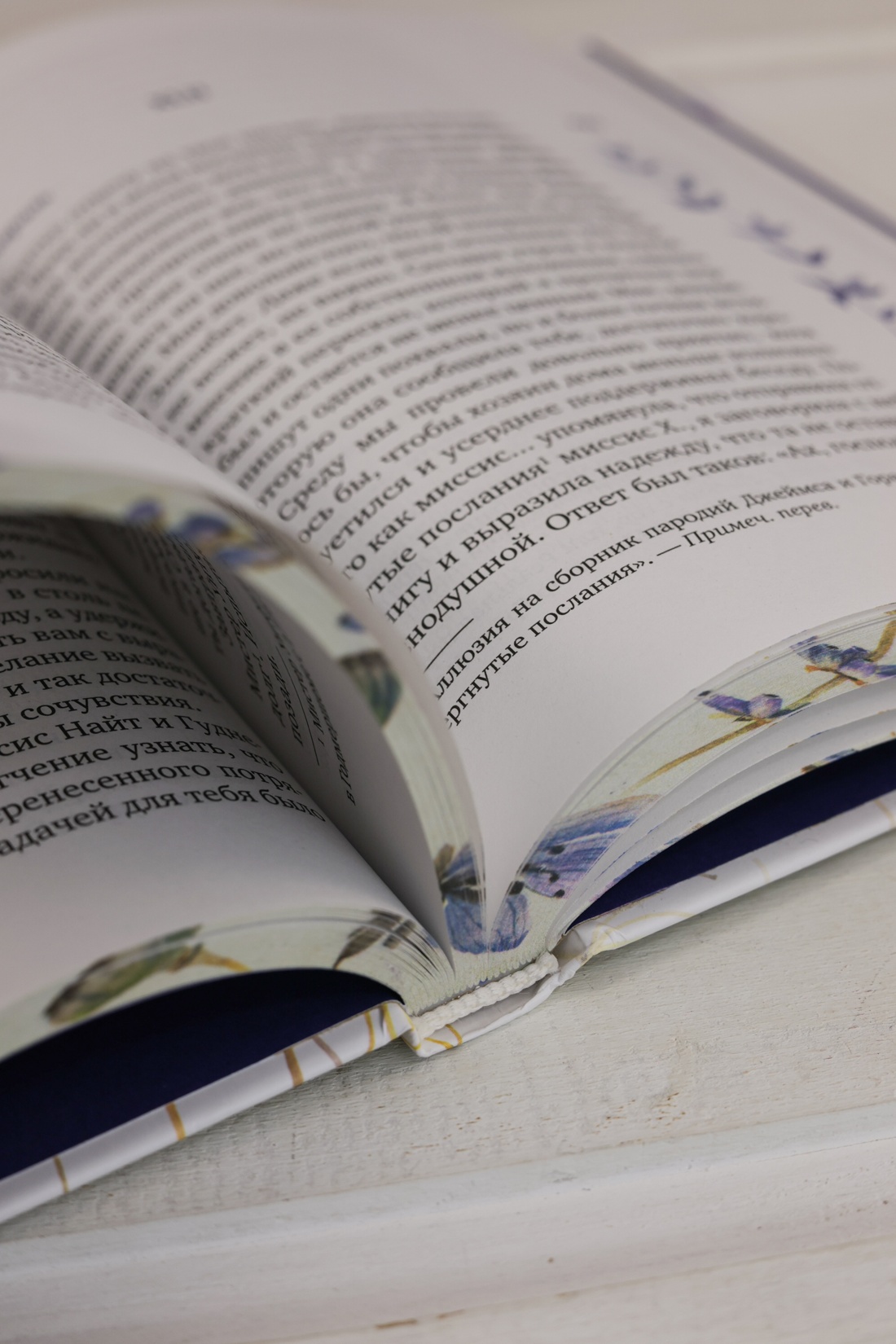 Промо материал к книге "Собрание важных пустяков. Письма сестре и близким" №11