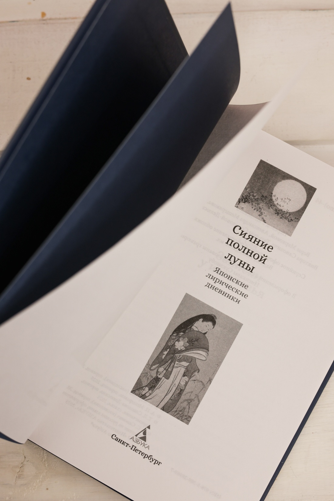 Промо материал к книге "Сияние полной луны: Японские лирические дневники" №6