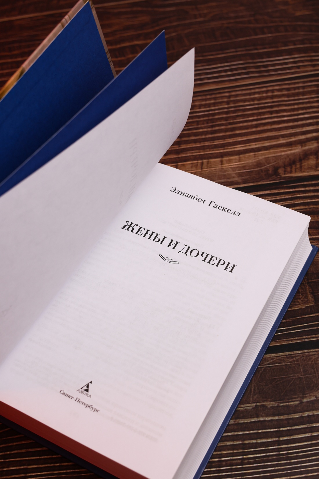 Промо материал к книге "Жены и дочери (с иллюстрациями)" №7