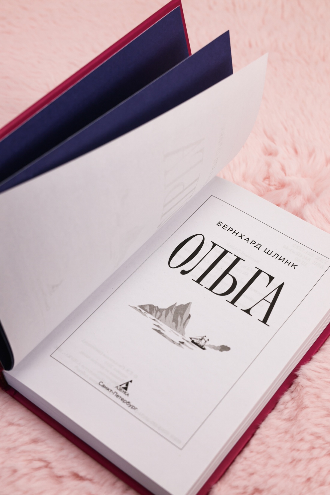 Промо материал к книге "Ольга (Настроение читать)" №7