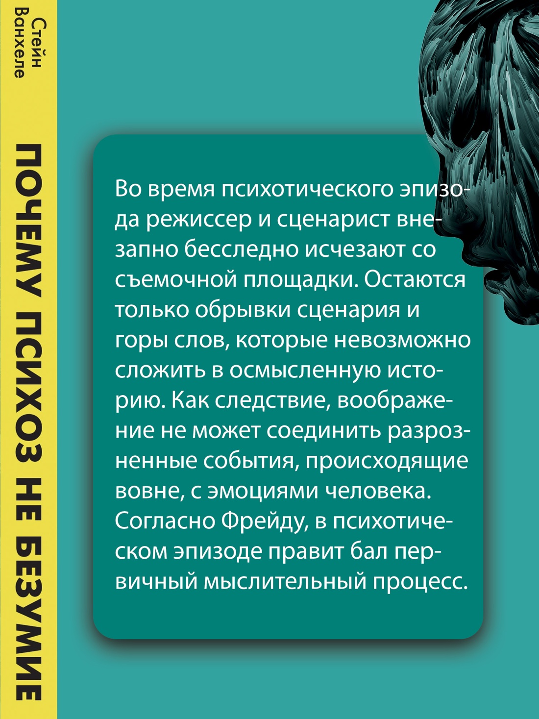 Промо материал к книге "Почему психоз не безумие. Рекомендации для специалистов, пациентов и их родных" №5