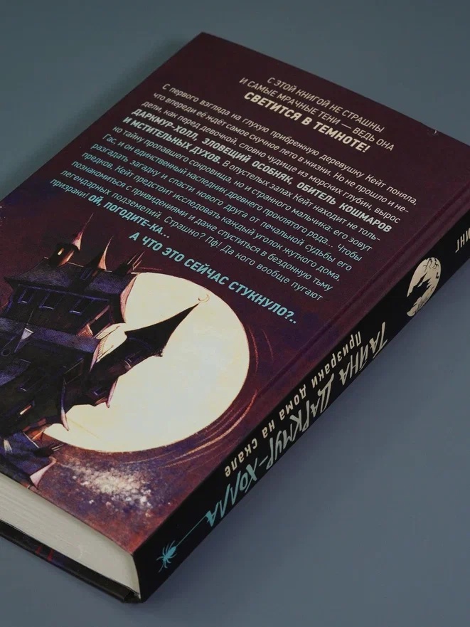 Промо материал к книге "Тайна Даркмур-Холла. Призраки дома на скале" №11