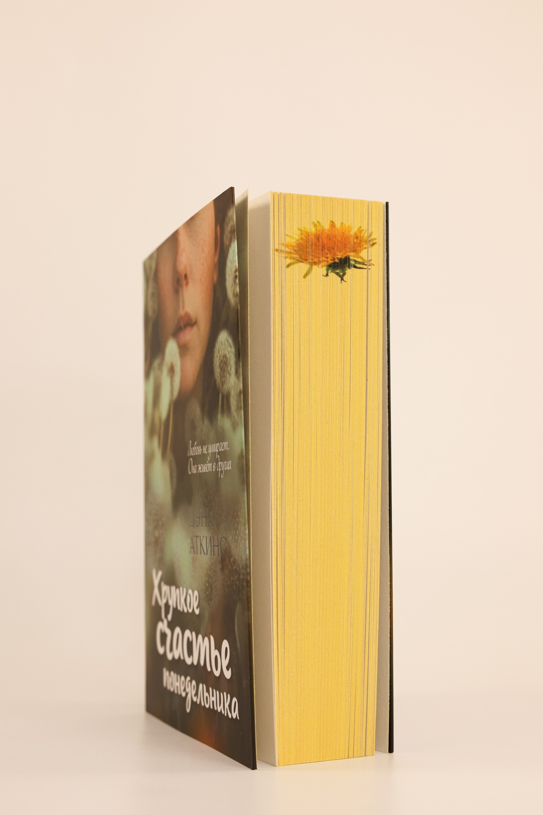 Промо материал к книге "Хрупкое счастье понедельника" №8
