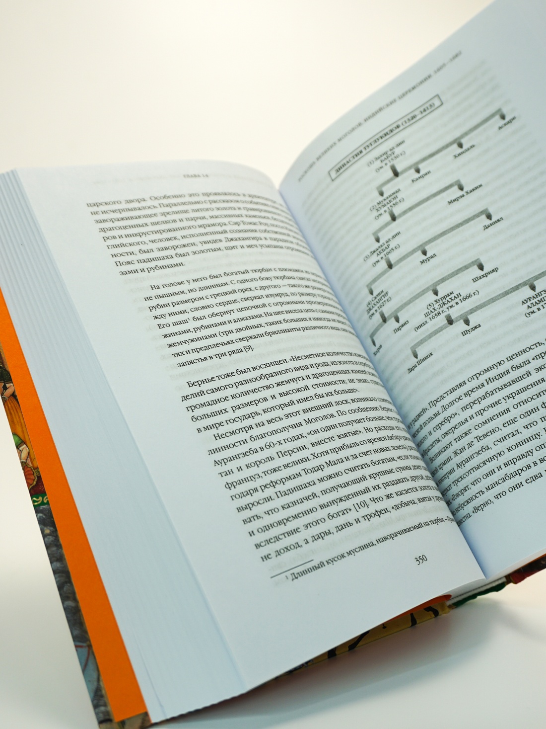 Промо материал к книге "Полная история Индии" №4