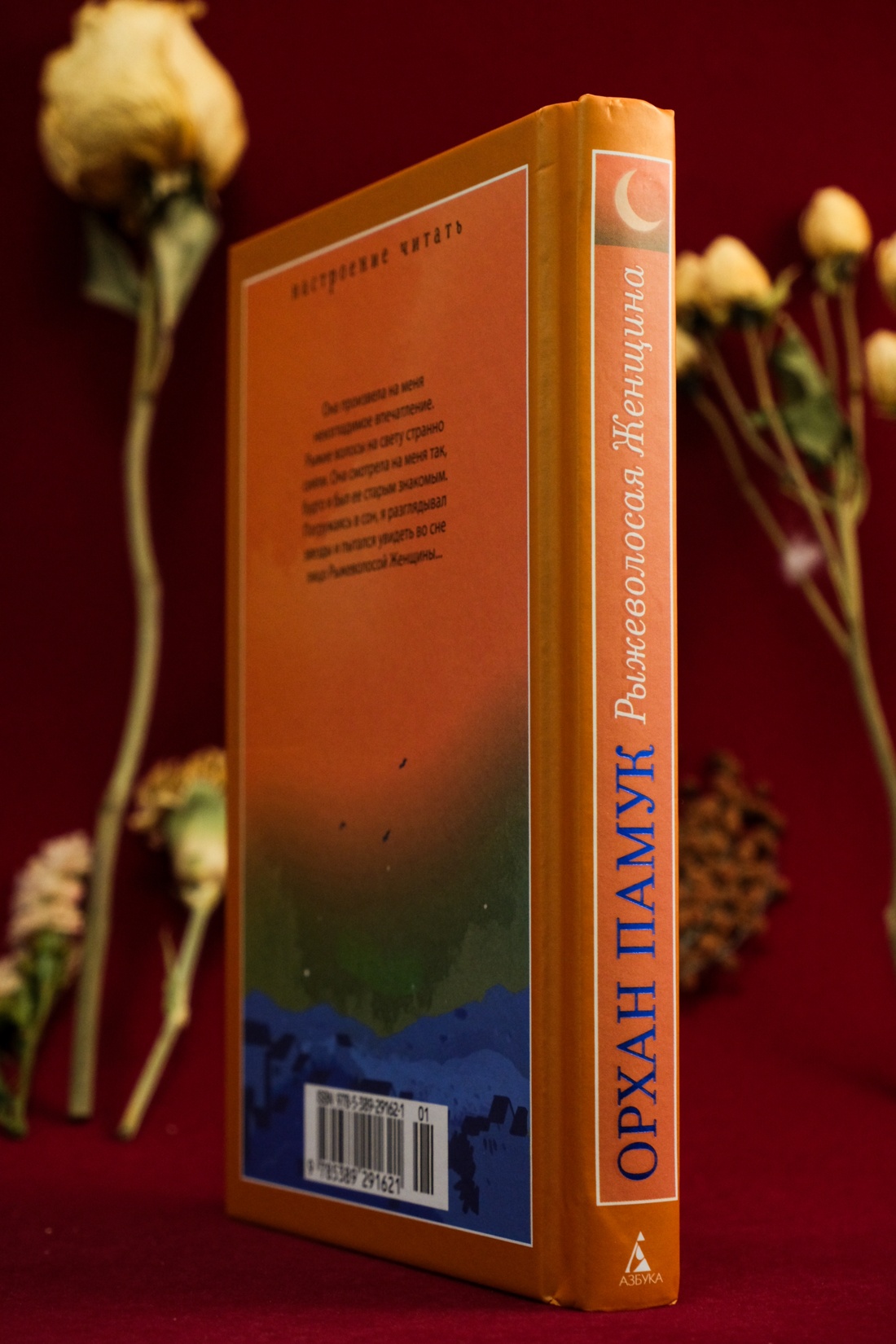 Промо материал к книге "Рыжеволосая Женщина" №9