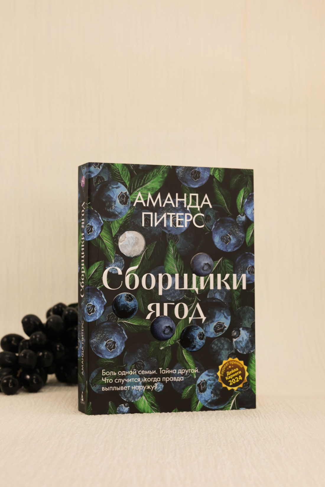 Промо материал к книге "Сборщики ягод" №6