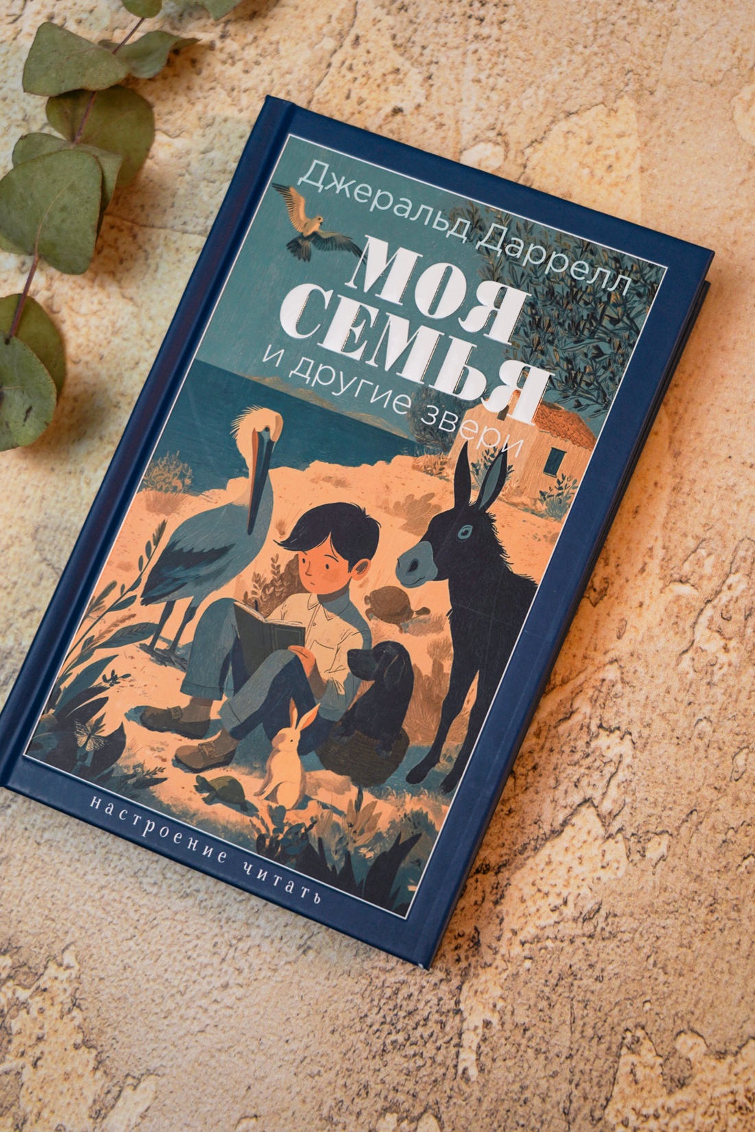 Промо материал к книге "Моя семья и другие звери (Настроение читать)" №5