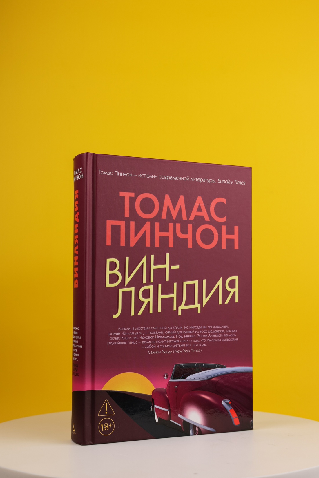 Промо материал к книге "Винляндия" №5