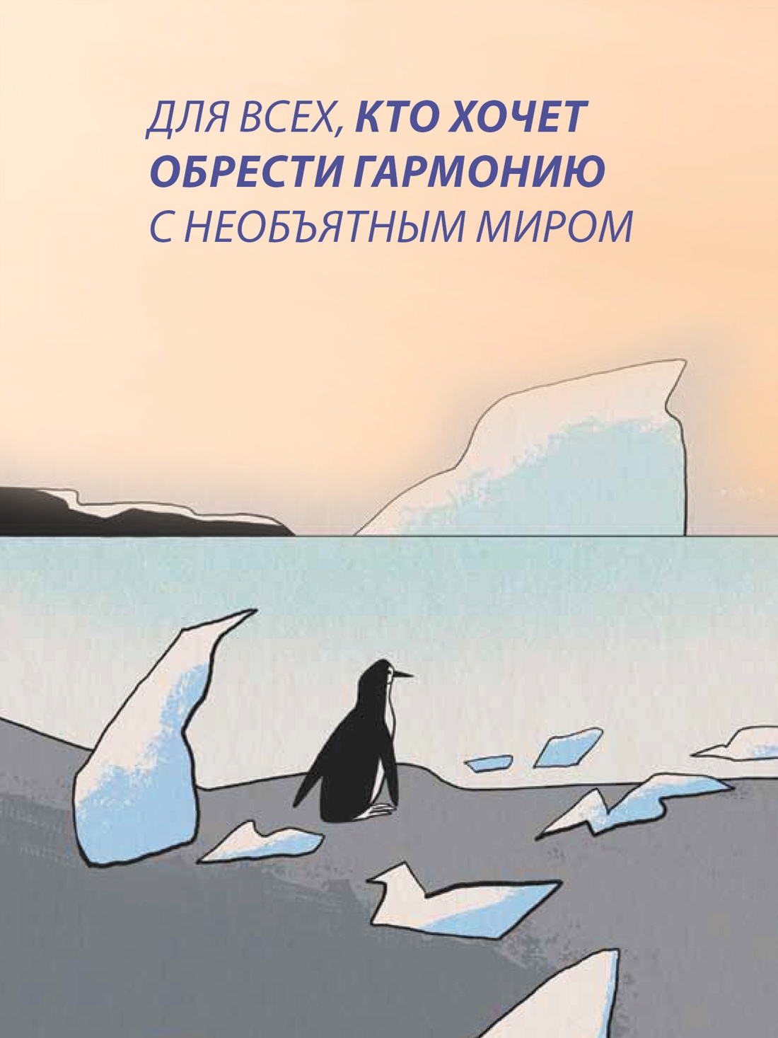Промо материал к книге "Мой полярный дневник" №3