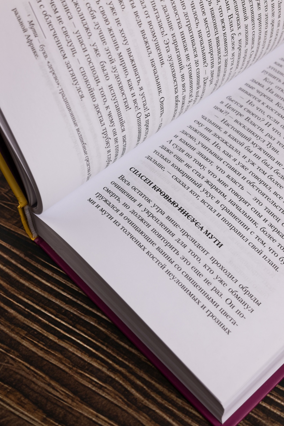 Промо материал к книге "Слава" №9