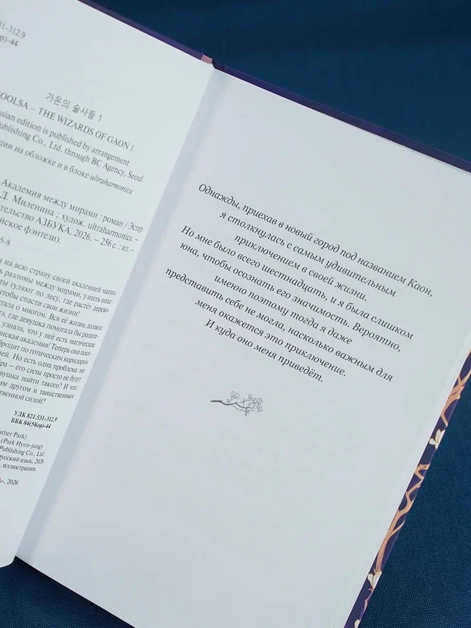 Промо материал к книге "Маги Каона. Академия между мирами" №6
