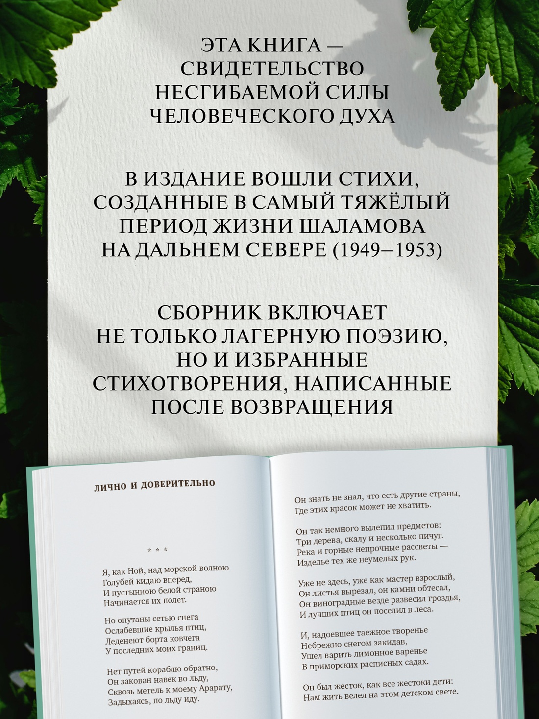 Промо материал к книге "«Хочу я света и покоя...»" №1