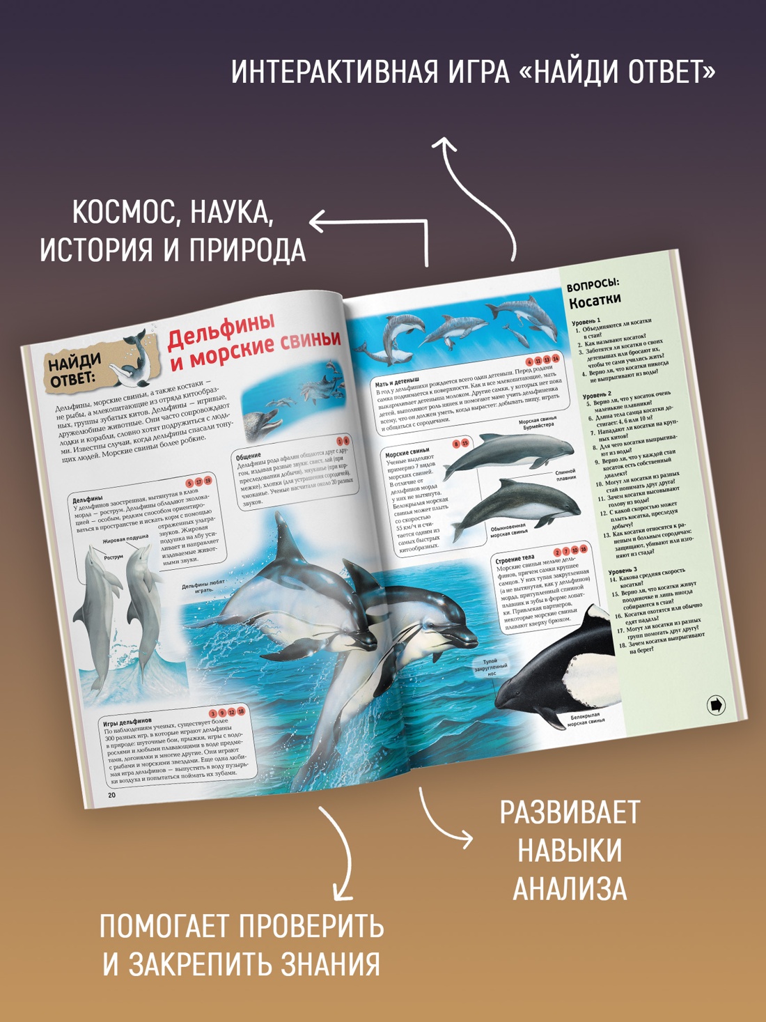 Промо материал к книге "Интерактивная энциклопедия для школьников (илл)" №1