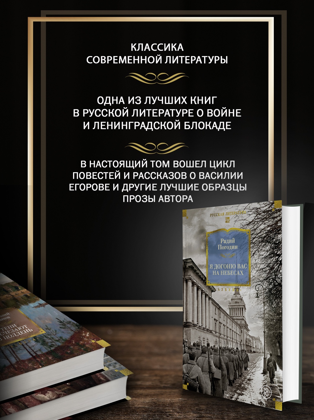 Промо материал к книге "Я догоню вас на небесах (твердый)" №1