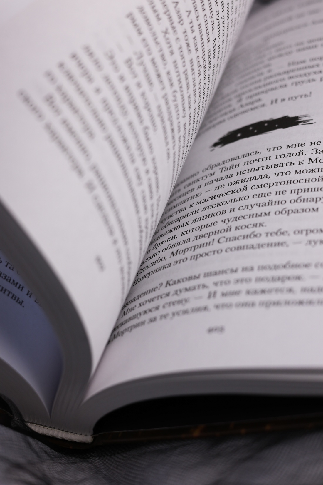 Промо материал к книге "Короны Ниаксии. Певчая птица и каменное сердце. Книга первая из дилогии о тенерожденных" №12