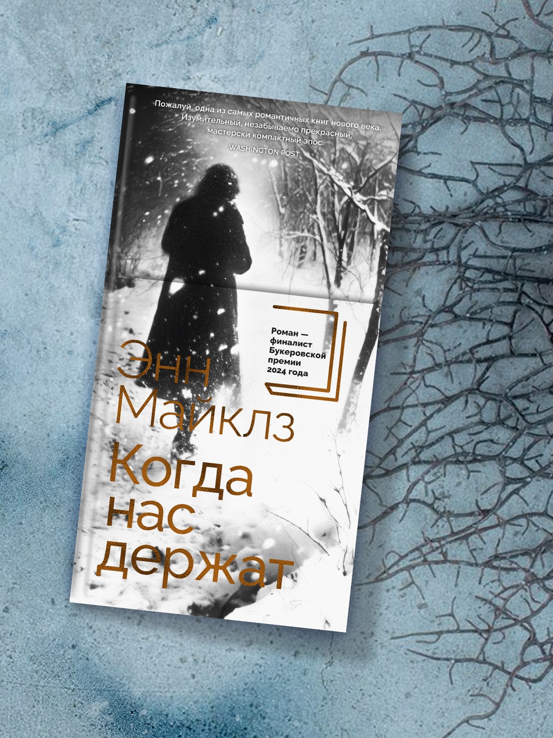 Промо материал к книге "Когда нас держат" №4