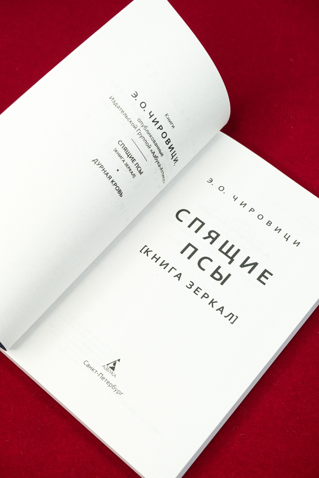 Промо материал к книге "Спящие псы" №11