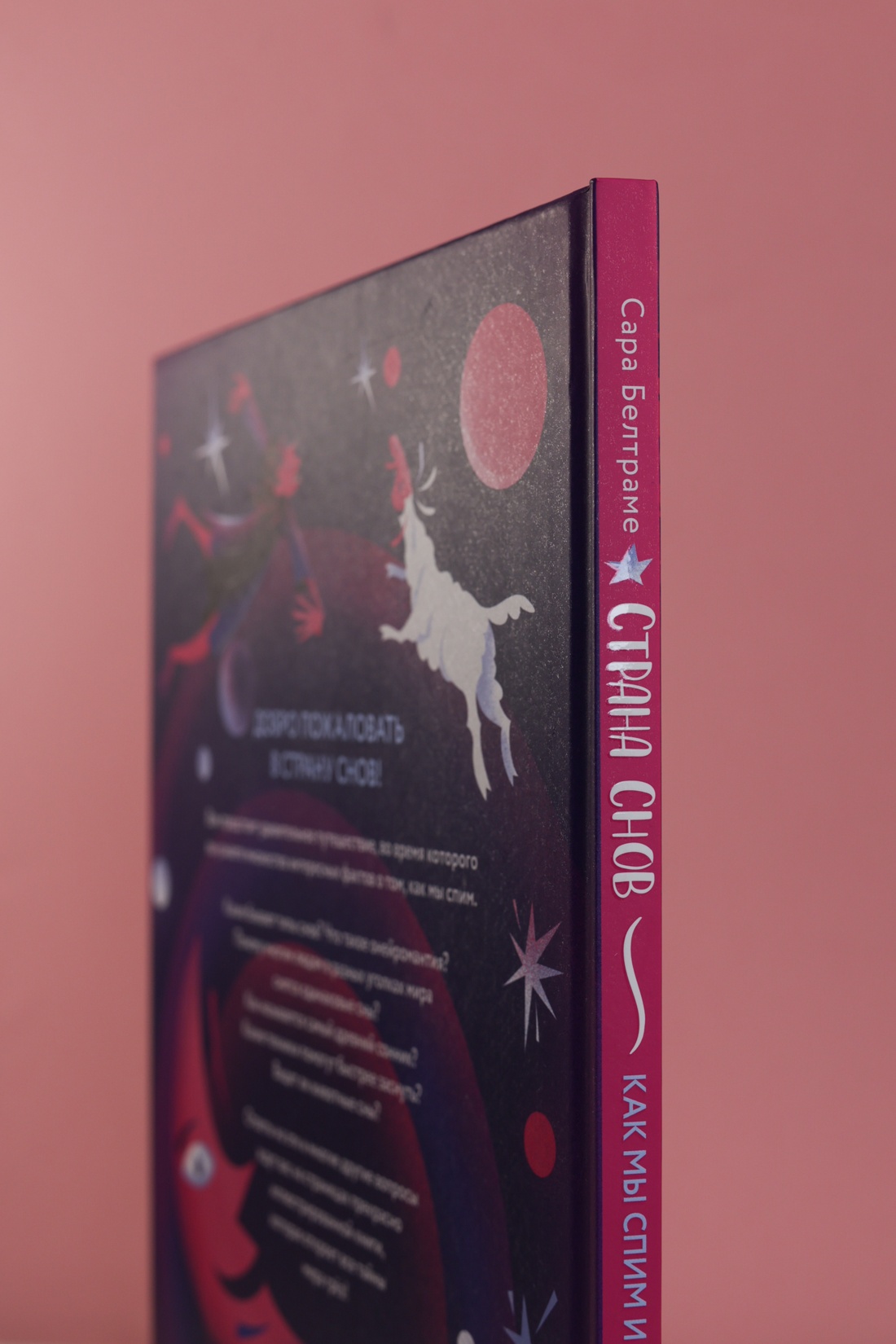 Промо материал к книге "Страна снов. Как мы спим и что нам снится" №5