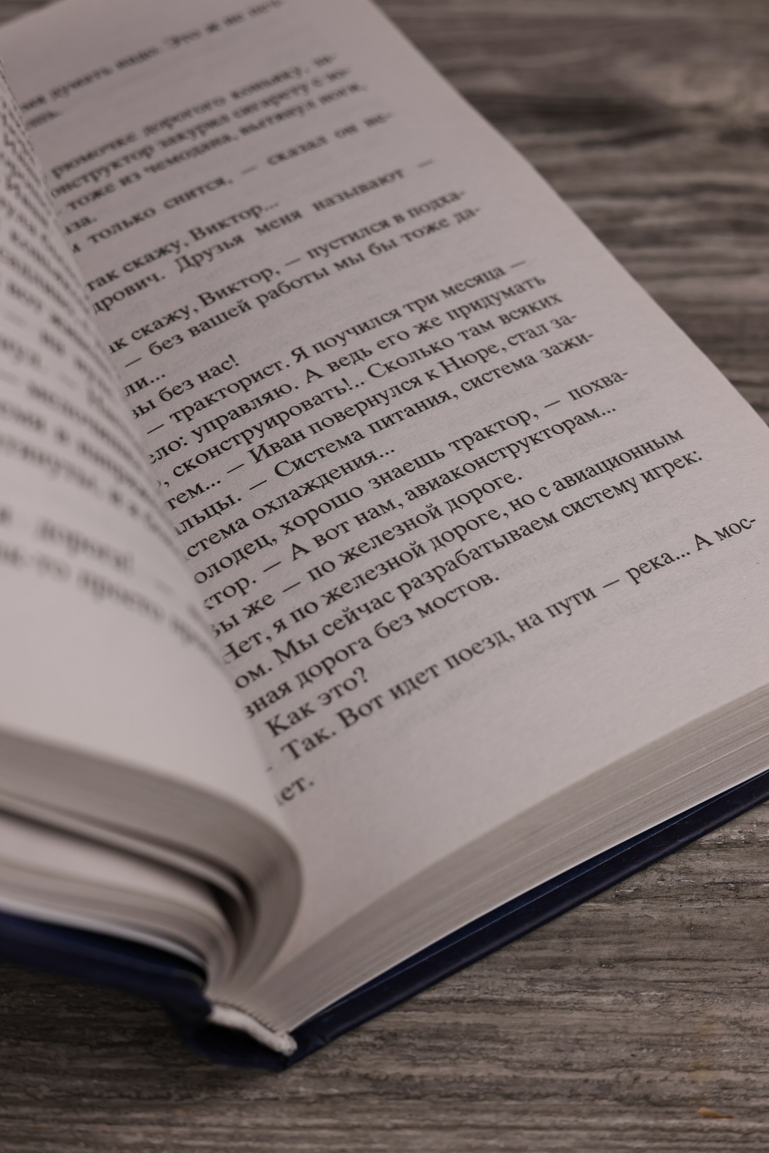 Промо материал к книге "Калина красная (Мировая классика)" №5