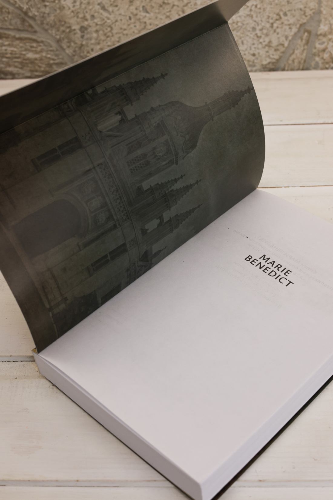 Промо материал к книге "Ее скрытый гений" №6