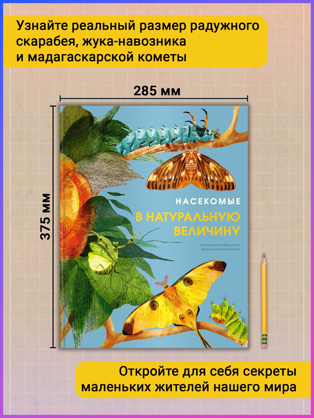 Промо материал к книге "Насекомые в натуральную величину" №1