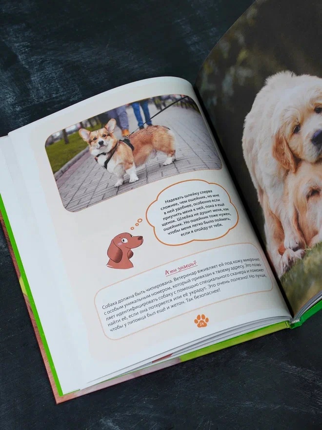 Промо материал к книге "Я и моя собака. Как понять питомца и стать ему другом" №10