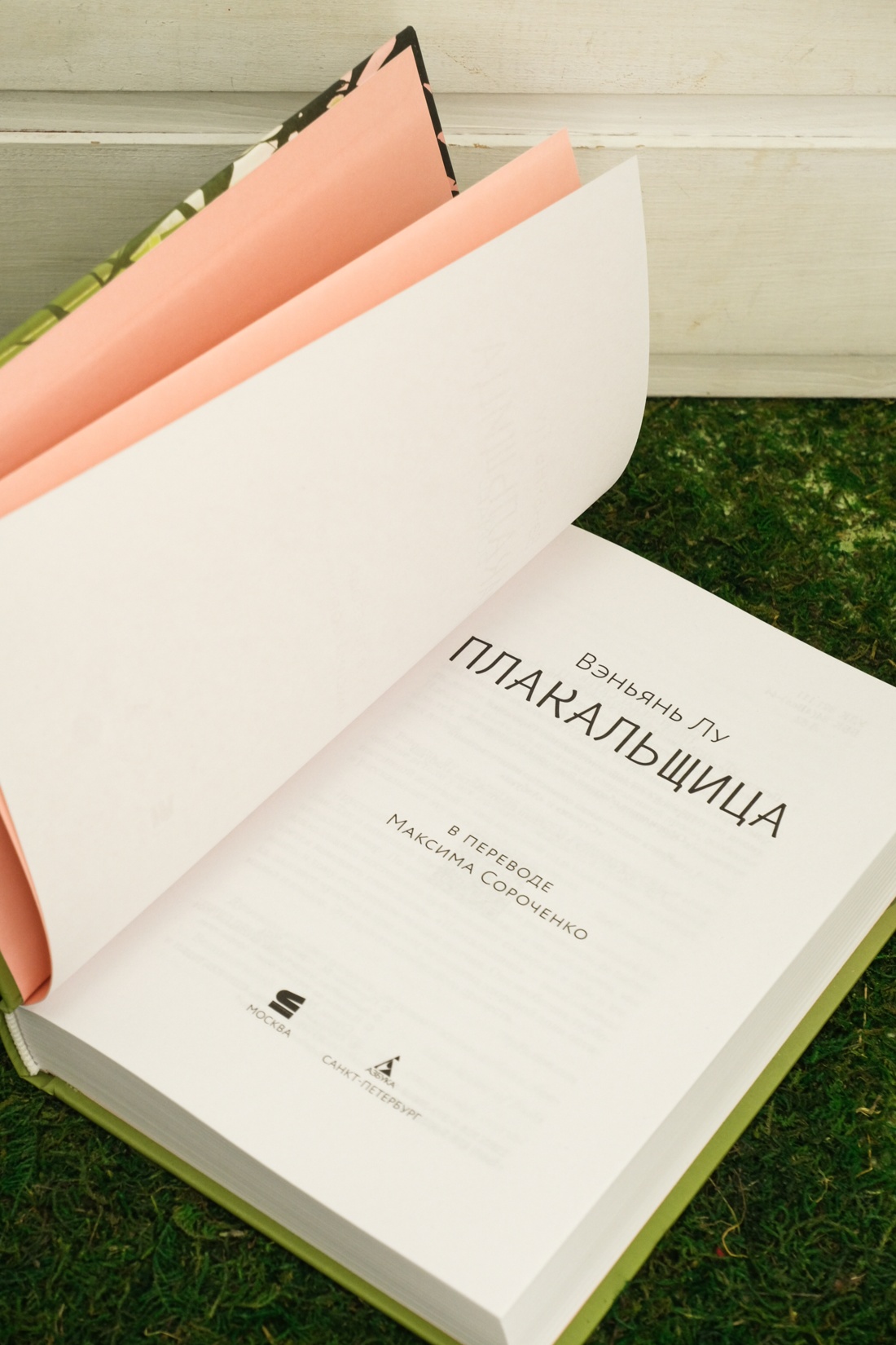 Промо материал к книге "Плакальщица" №5