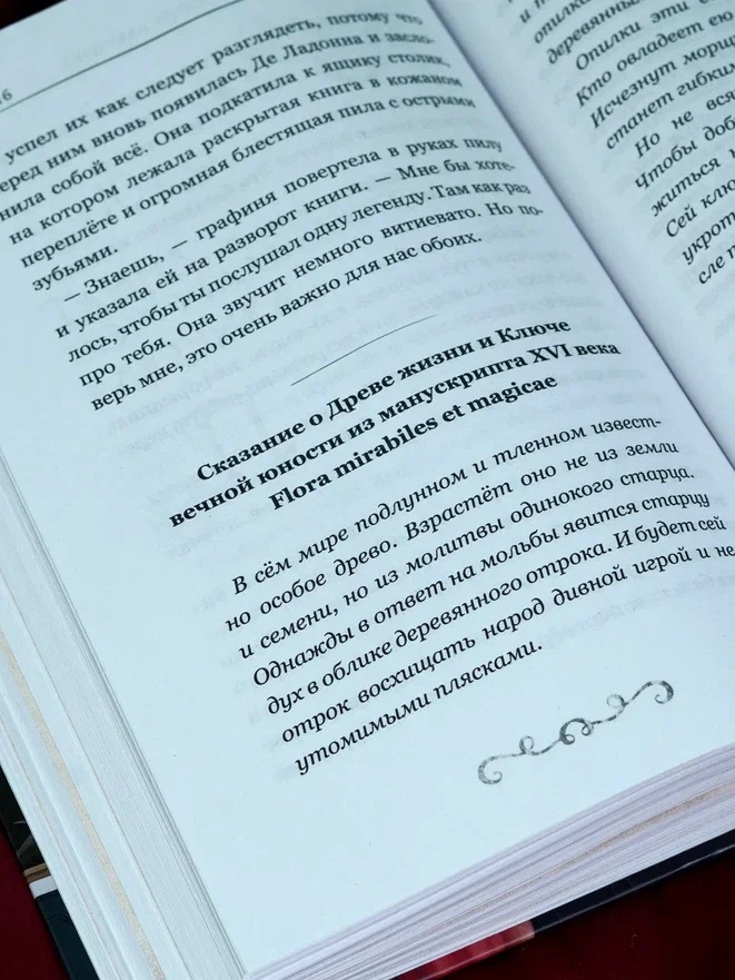 Промо материал к книге "Буратино. История друзей" №10