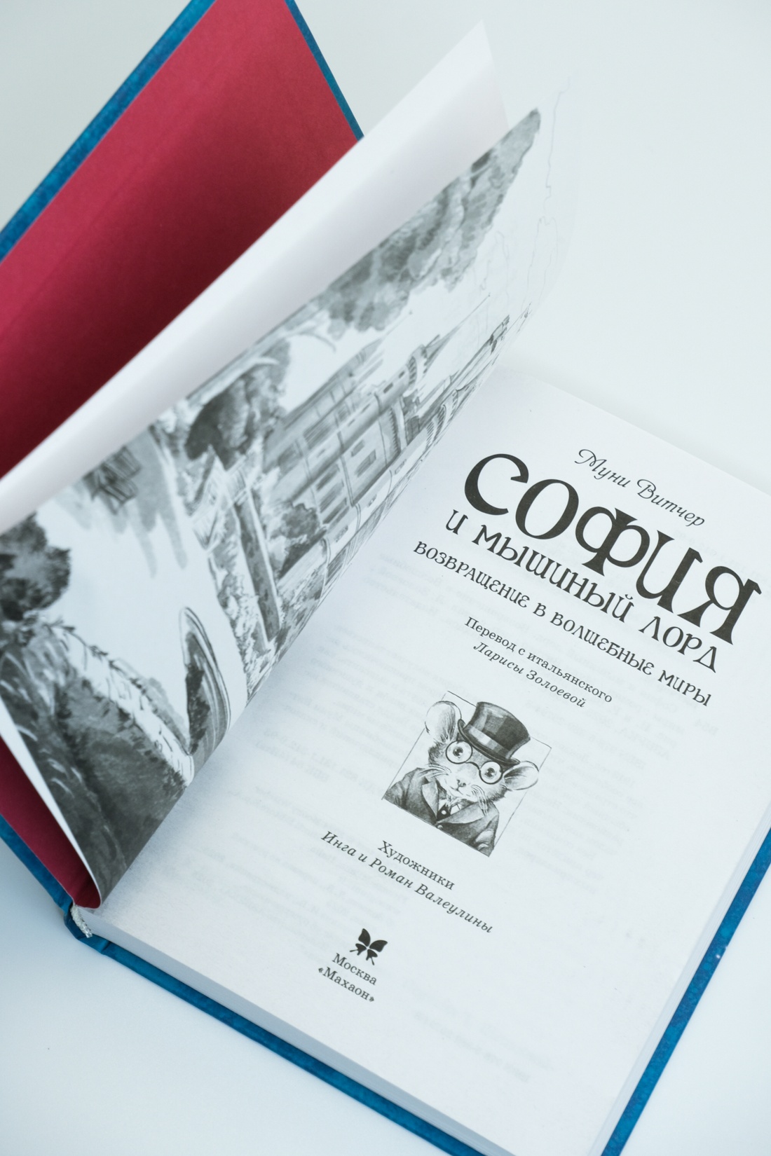 Промо материал к книге "София и мышиный лорд. Возвращение в Волшебные миры" №6