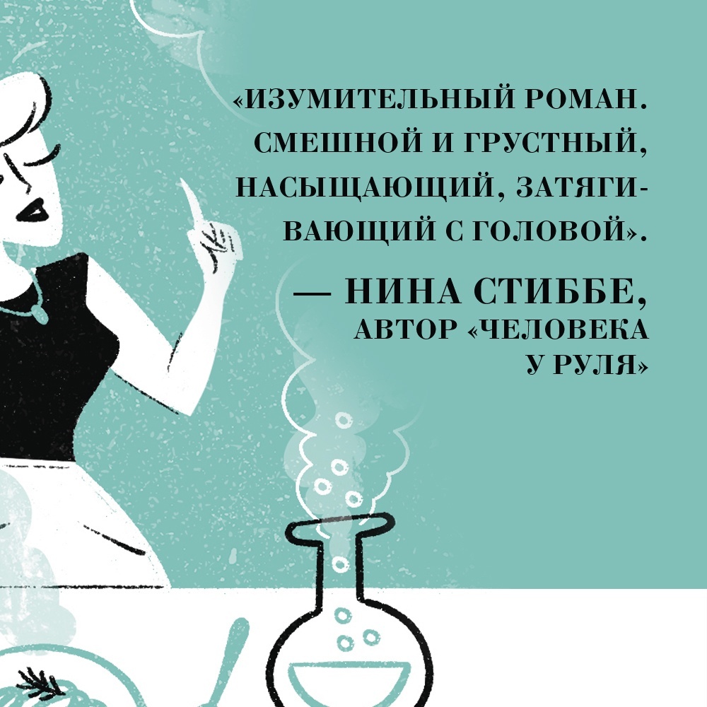 Промо материал к книге "Уроки химии" №6