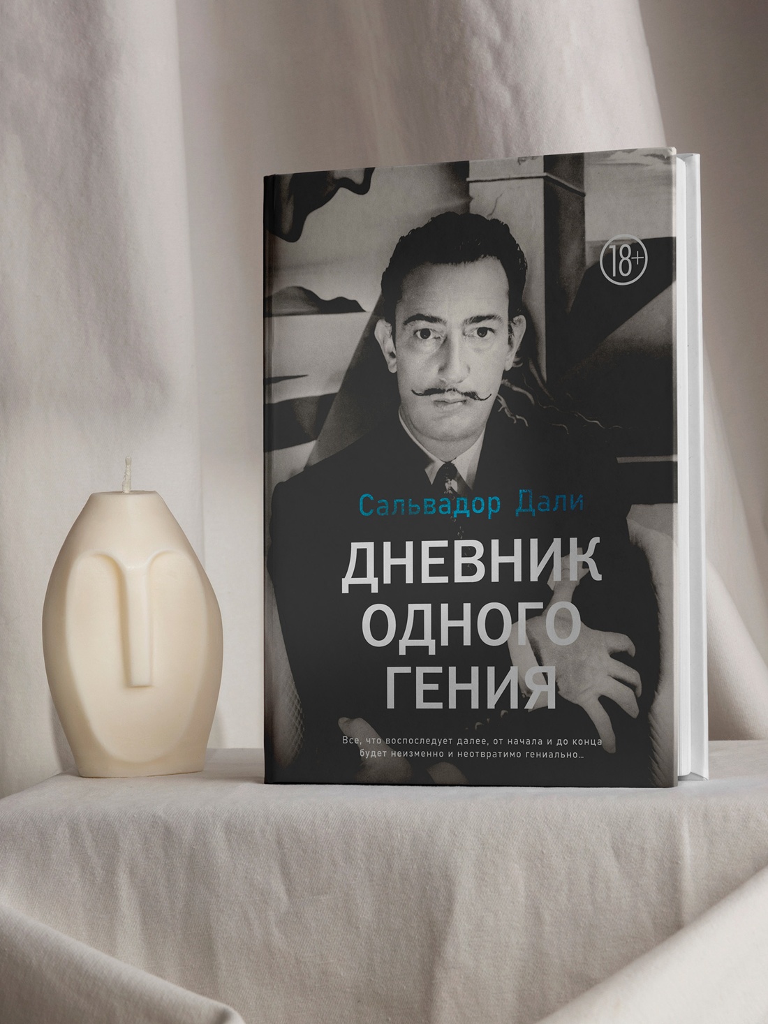 Промо материал к книге "Дневник одного гения" №2