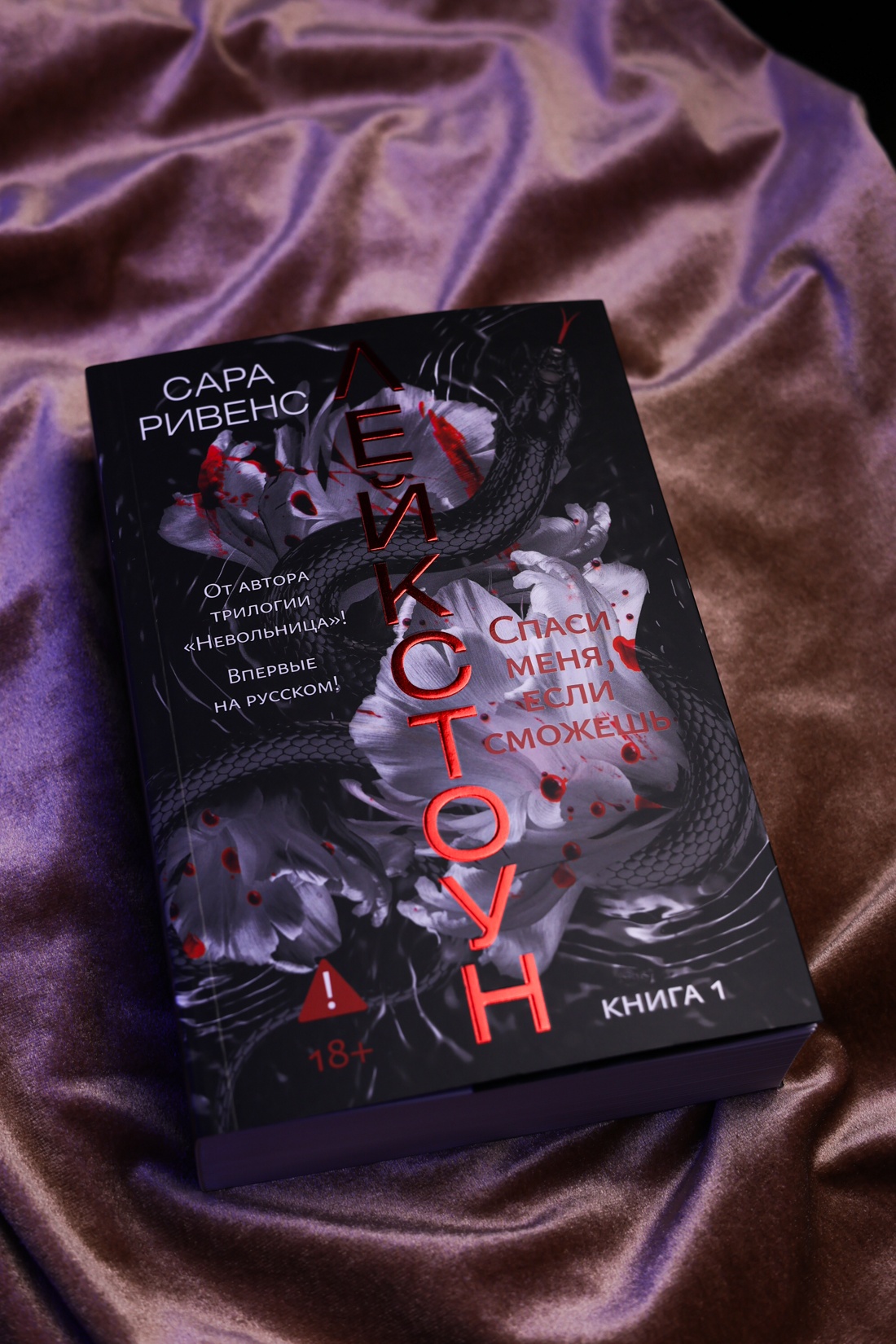 Промо материал к книге "Лейкстоун. Книга 1. Спаси меня, если сможешь" №5