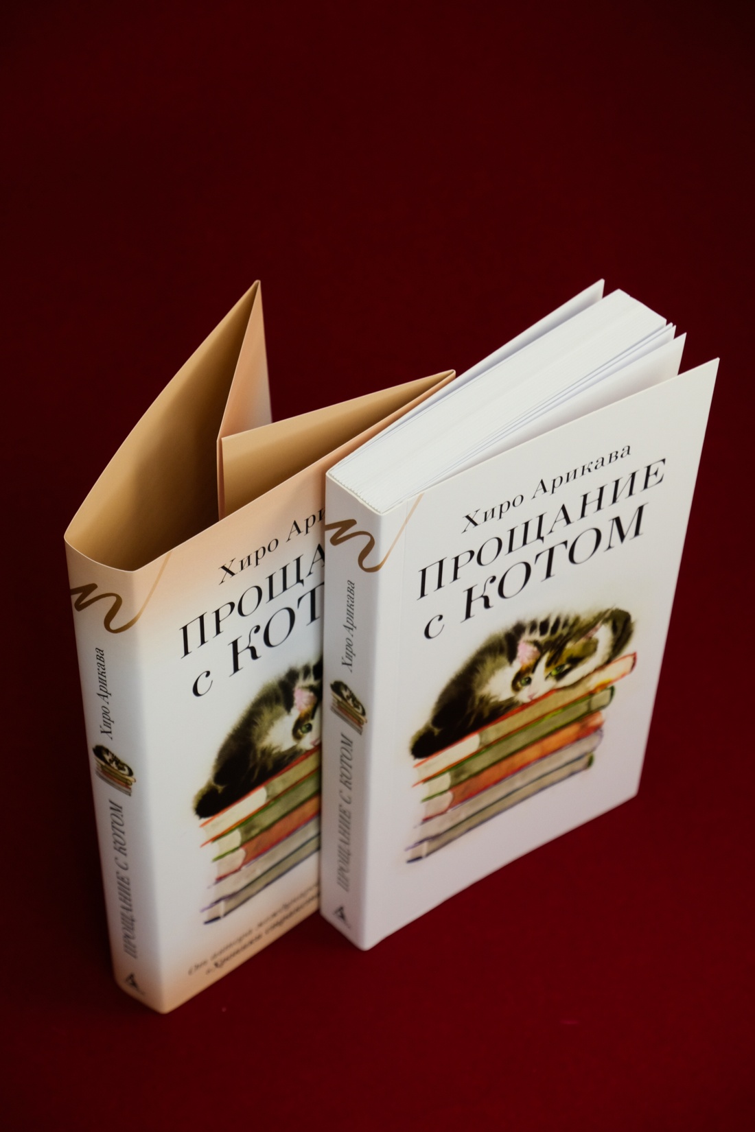 Промо материал к книге "Прощание с котом" №7