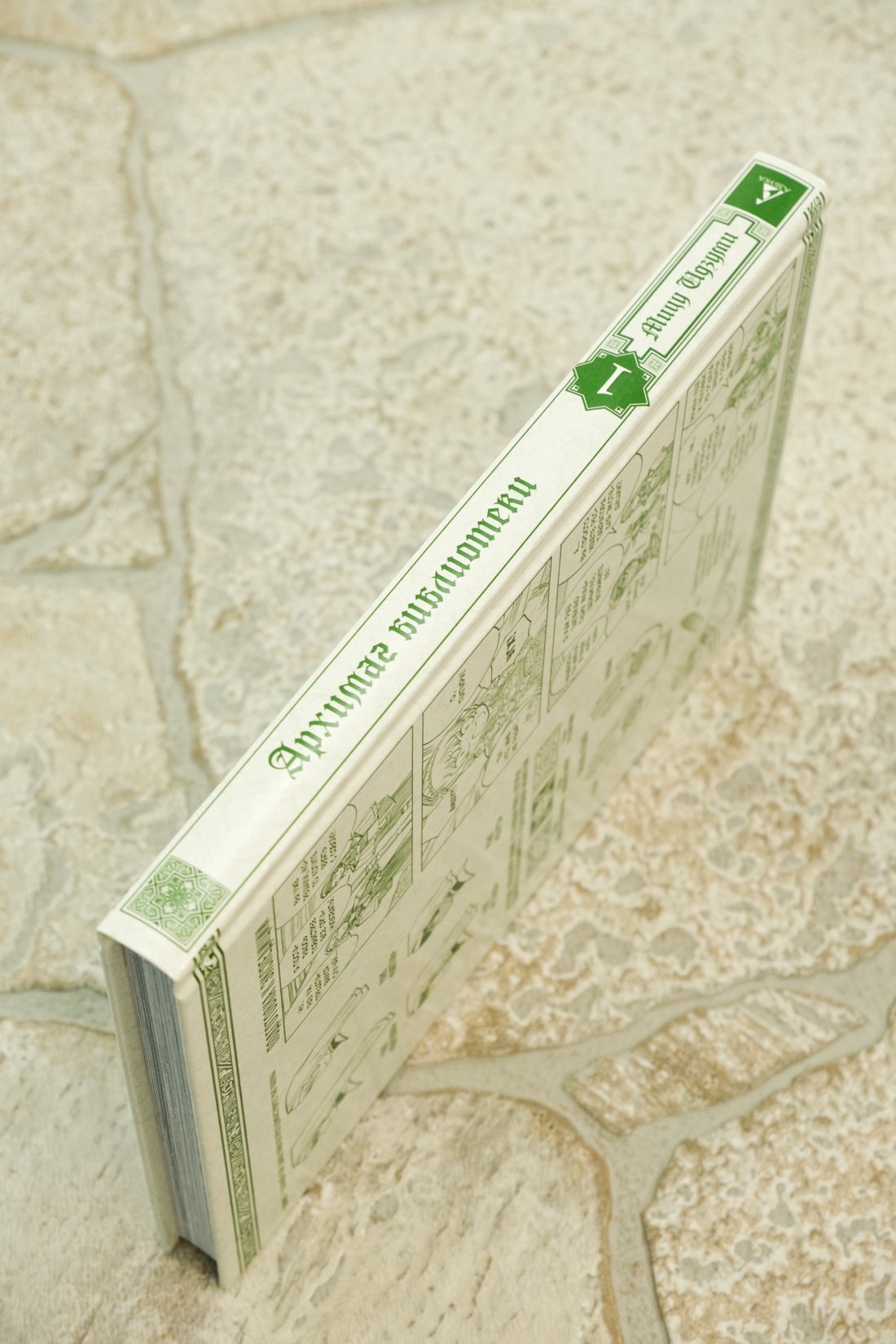 Промо материал к книге "Архимаг библиотеки. Книга 1" №10