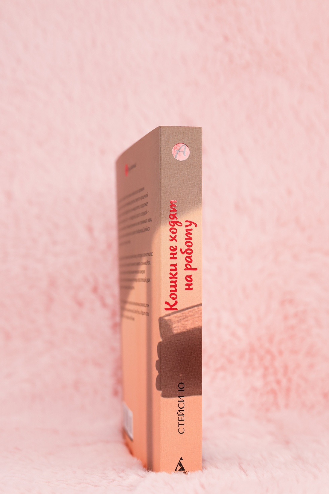 Промо материал к книге "Кошки не ходят на работу" №8