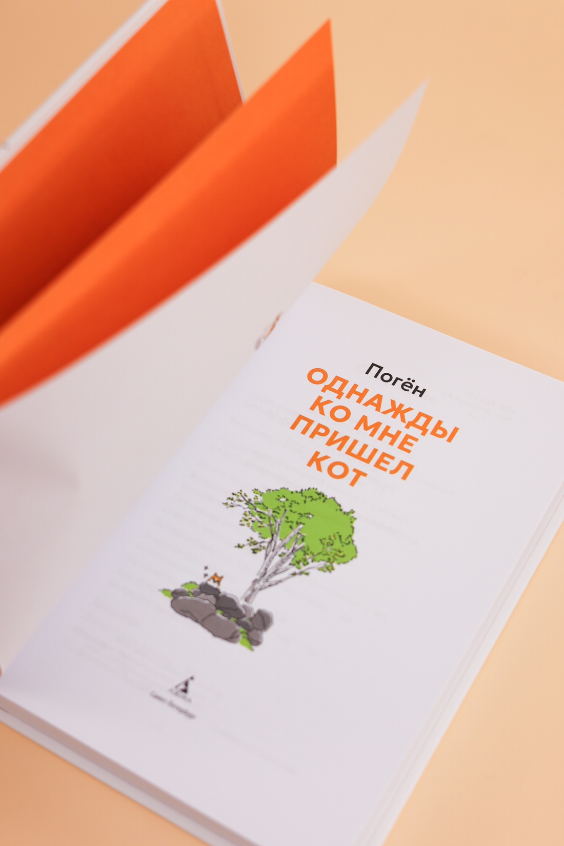 Промо материал к книге "Однажды ко мне пришел кот" №8