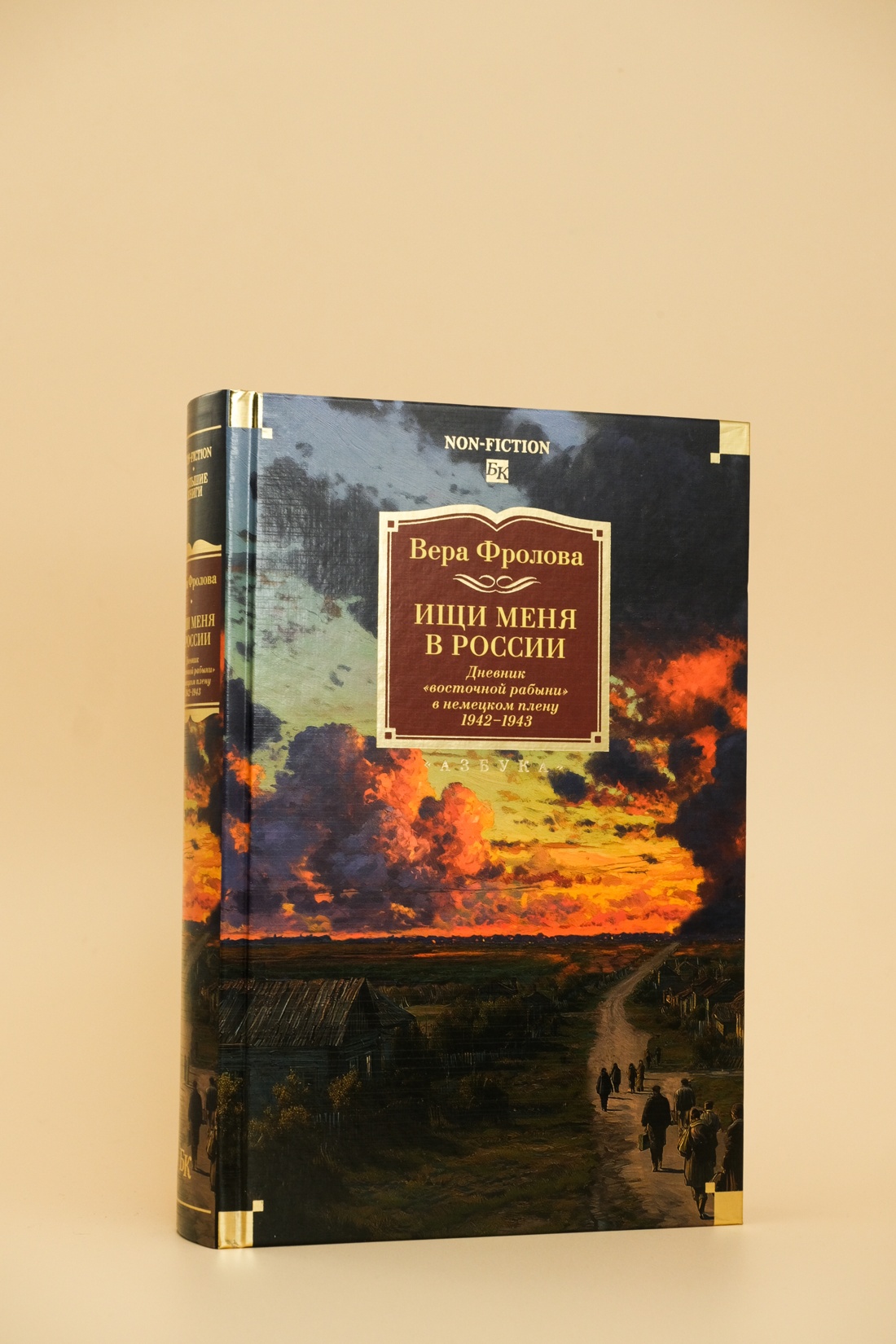 Промо материал к книге "Ищи меня в России. Дневник «восточной рабыни» в немецком плену. 1942–1943" №4