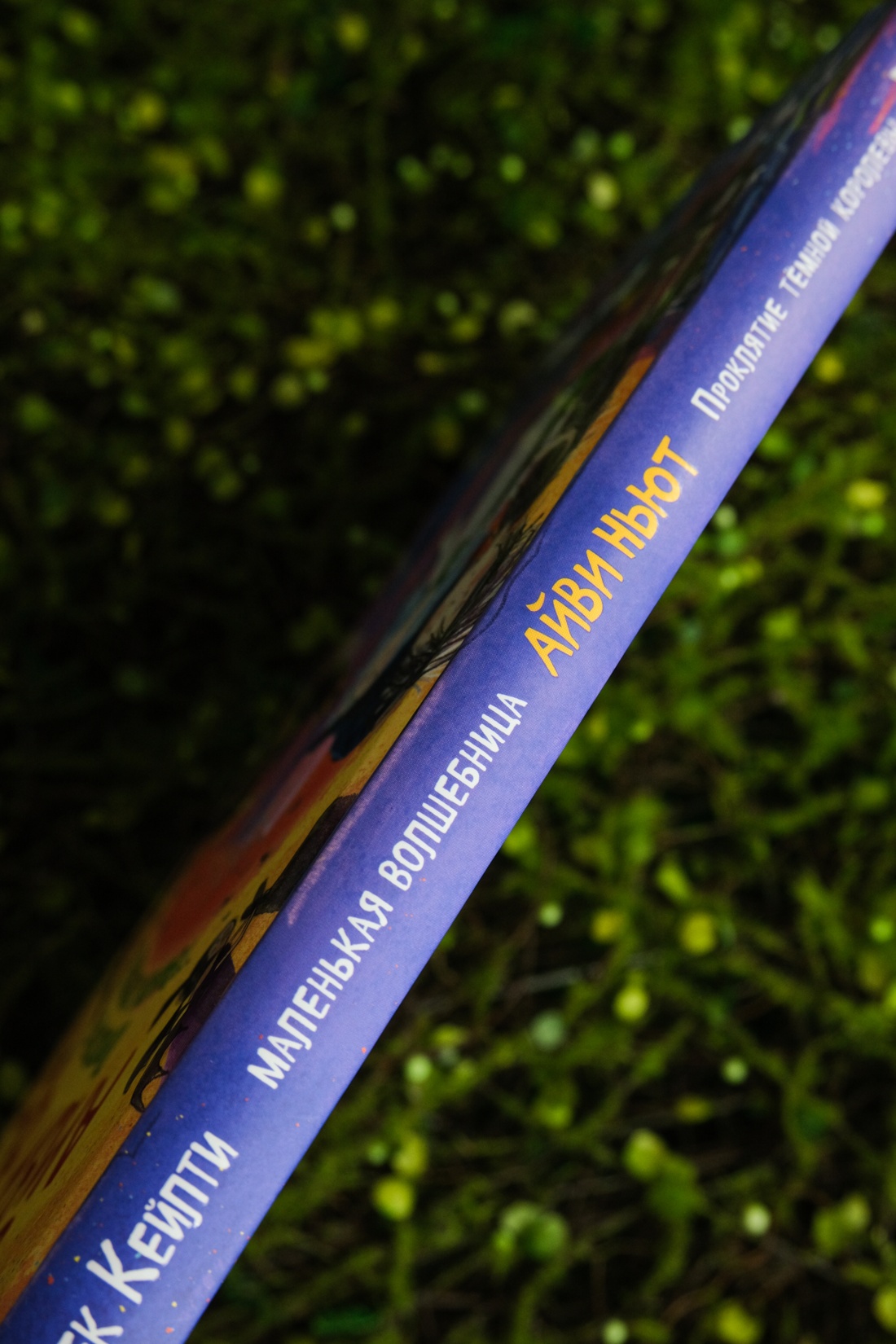 Промо материал к книге "Маленькая волшебница Айви Ньют. Проклятие тёмной королевы. Книга 4" №6